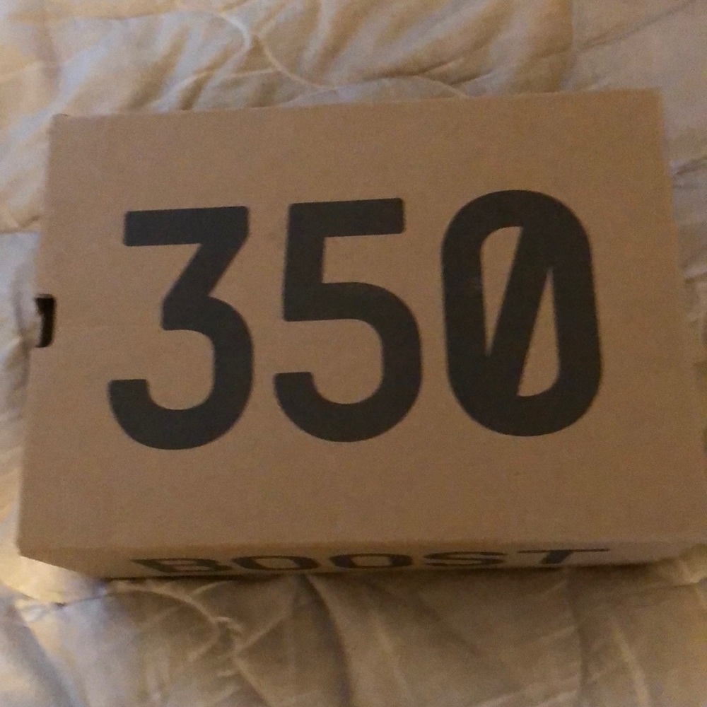 Yeezy 350 V2 Yecheil size 10 worn a few times